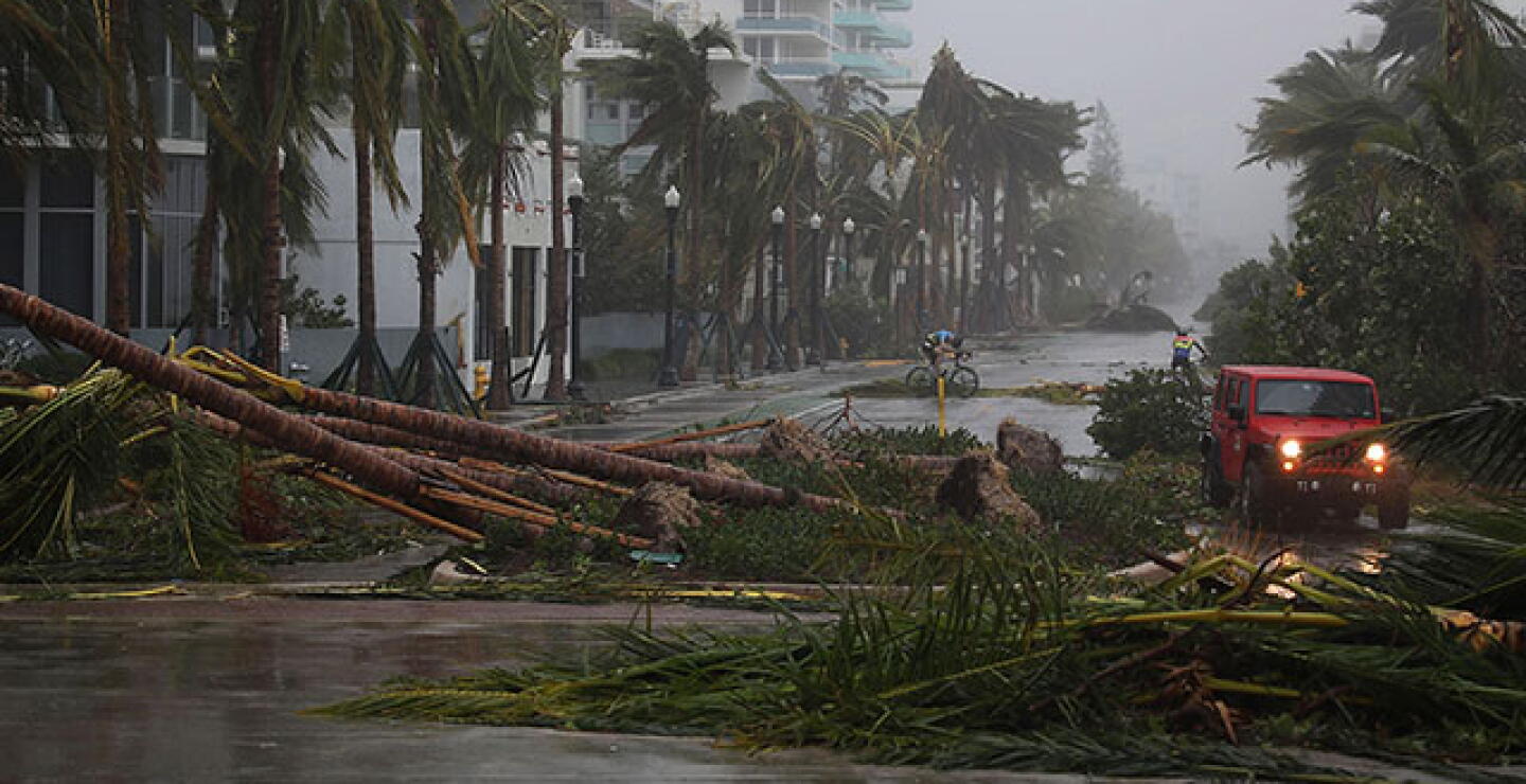 florida_22.jpg