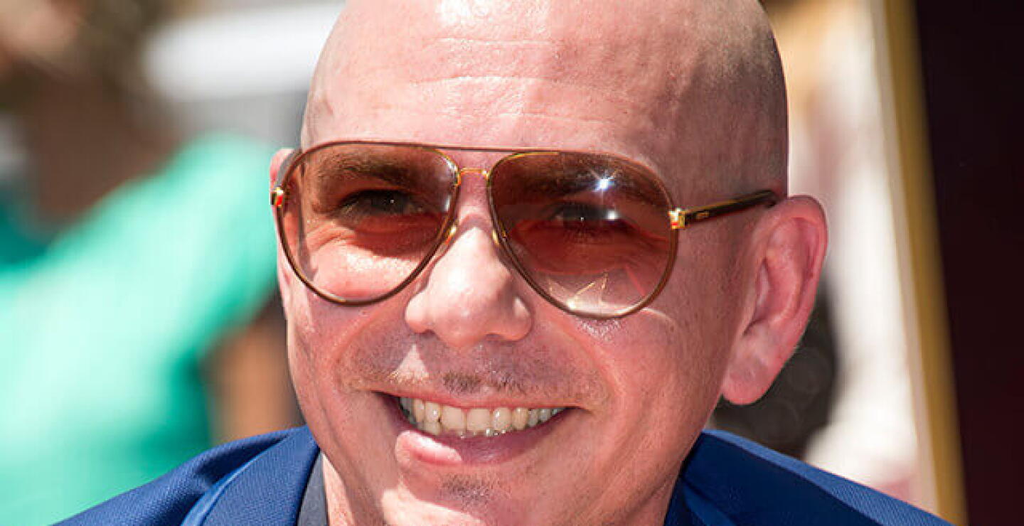 pitbull_5.jpg