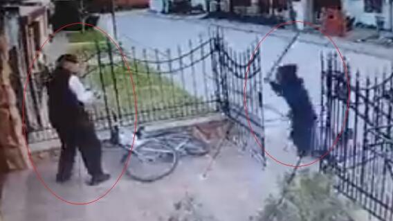 Abuelo mató a su nieto.jpg Abuelo mató a su nieto.jpg