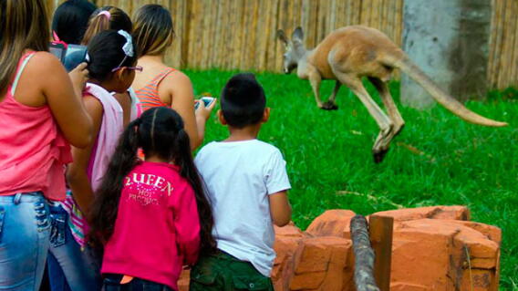 zoologico-de-cali.jpg