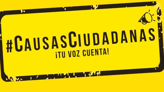 causasciudadanas.jpg