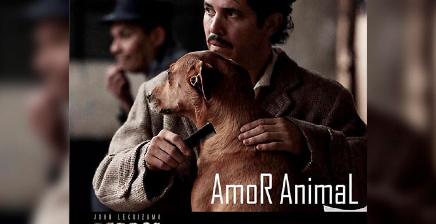 perros_0.jpg