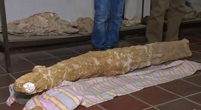 Investigan posible hallazgo arqueológico en Los Patios, Norte de Santander