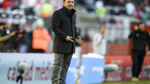 320813_Marcelo Gallardo