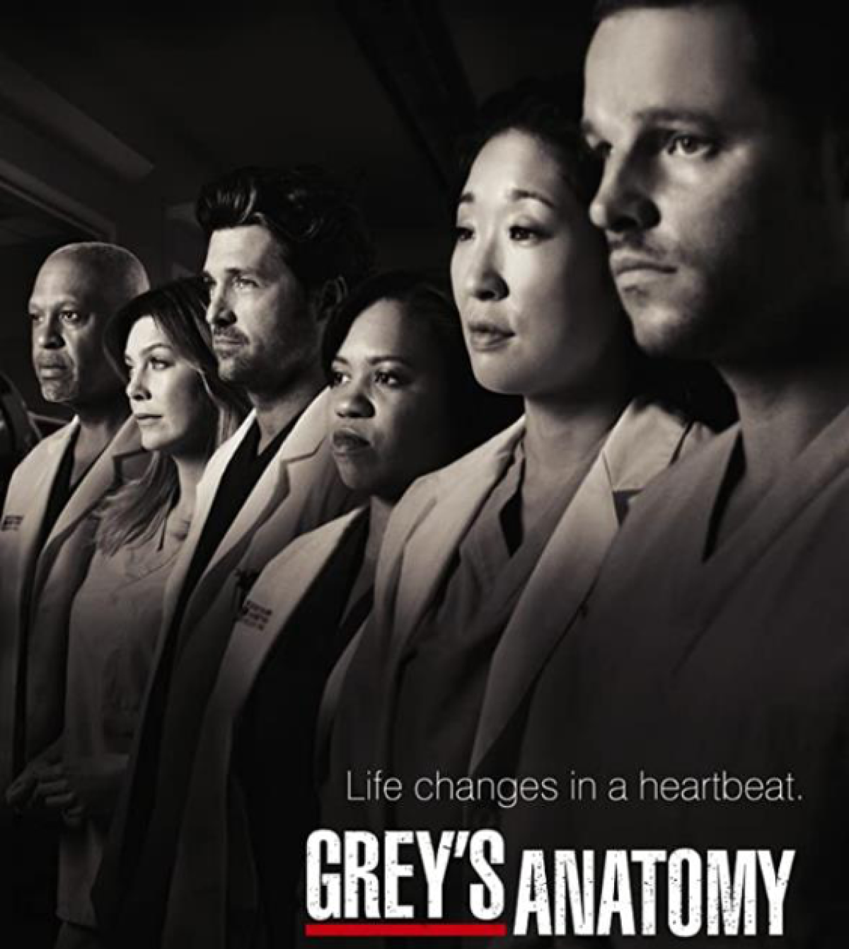 648036_greys_anatomy.png