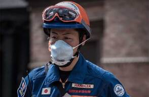 terremoto-japon.jpg