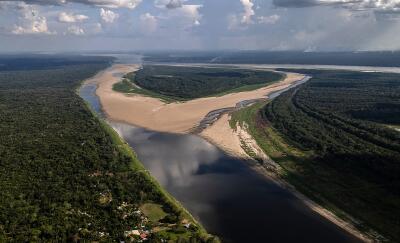 “Perderemos el Amazonas en 5 años si no actuamos”: directora de la WWF en COP16 “Perderemos el Amazonas en 5 años si no actuamos”: directora de la WWF en COP16