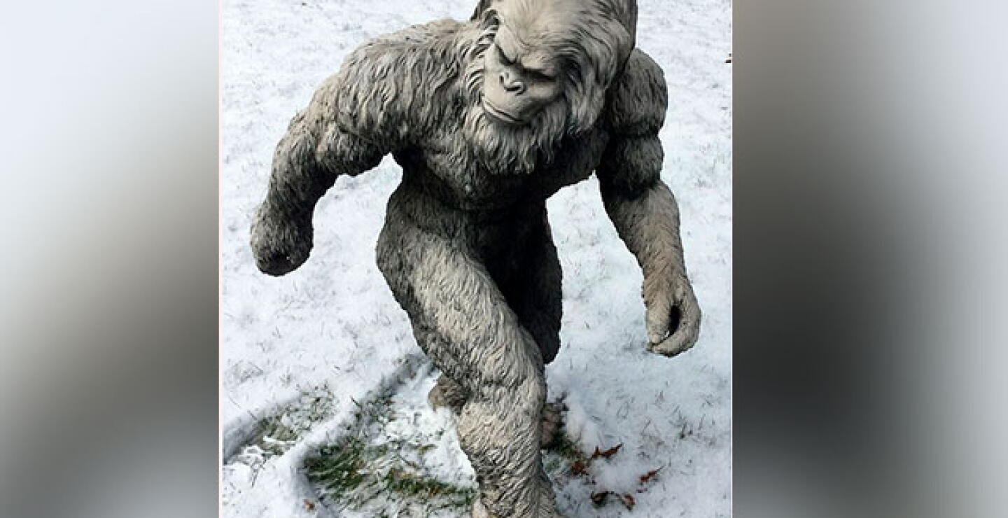 yeti.jpg