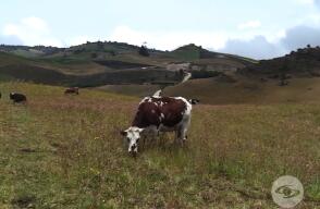 365320_181119_la_finca_de_hoy.jpg