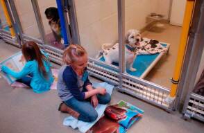 Una vez al mes un grupo de niños visita las instalaciones del refugio de animales Humane Society de Missouri.