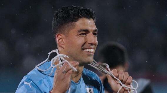 Luis Su Luis Su