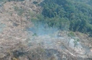 354200_BLU Radio. Hectáreas de bosque quemado en Antioquia // Foto: captura de pantalla video Dapard