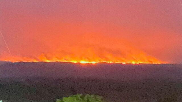 Incendios y deforestación: lo que está pasando en La Macarena es “una monstruosidad”