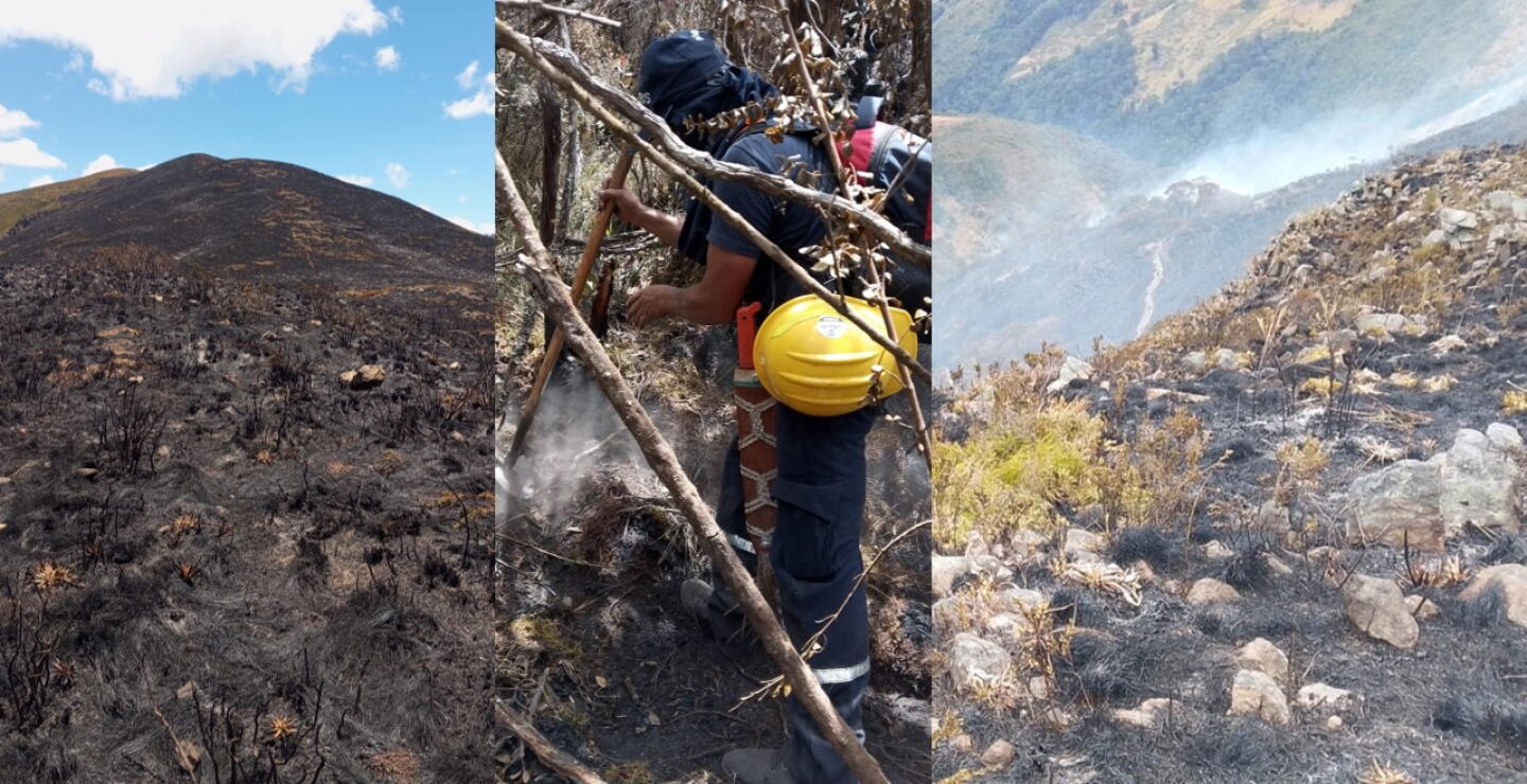 Incendio en Coromoro, Santander, afecta complejo de páramos Guantiva-La Rusia, varios frailejones quemados