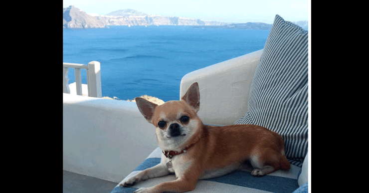 miami_8.gif