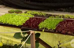374730_210120_la_finca_de_hoy.jpg