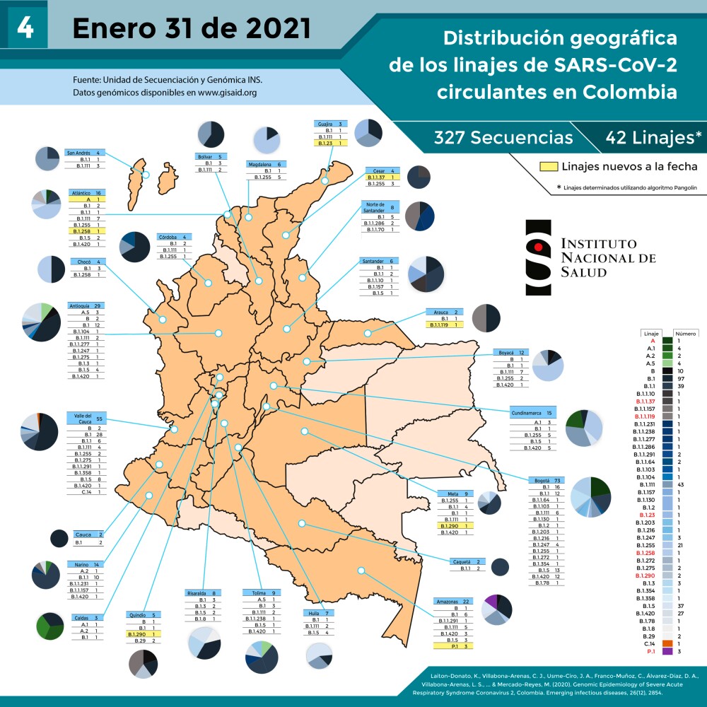 Linajes del coronavirus circulantes en Colombia 