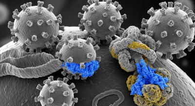 Síntomas del virus Nipah Síntomas del virus Nipah