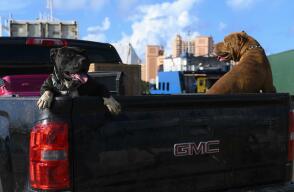 18455_Foto: Referencia / AFP