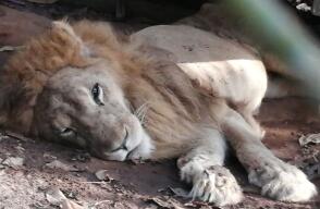 356804_Foto: Tomada de Twitter @TerryHurtado