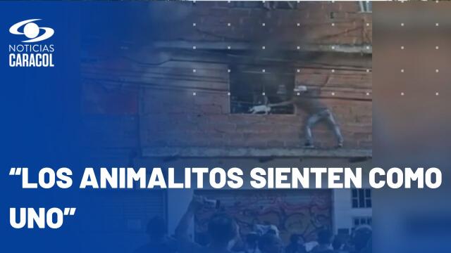 Habla hombre que salvó a 10 gatos de incendio en Medellín: sufrió quemaduras en manos Habla hombre que salvó a 10 gatos de incendio en Medellín: sufrió quemaduras en manos