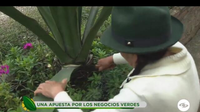 Una apuesta por los negocios verdes en Boyacá.jpg Una apuesta por los negocios verdes en Boyacá.jpg