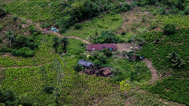 Comisión judicial fue atacada por presuntos disidentes de las FARC en zona rural de Corinto, Cauca