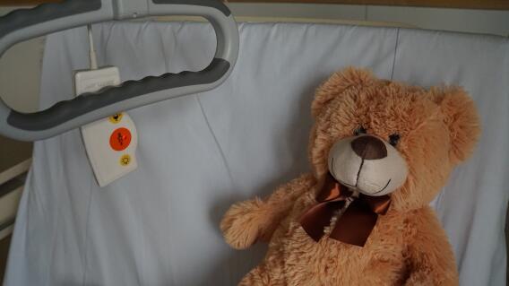 Oso de peluche Oso de peluche
