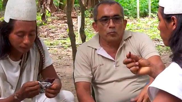 Como fruto para dioses: arhuacos producen cacao en la Sierra Nevada de Santa Marta