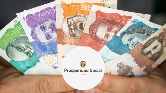 Renta Ciudadana y Devolución del IVA: cómo será el cuarto pago de 2026 y quiénes lo recibirán