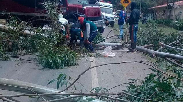 Con ramas de árboles y vehículos con llantas pinchadas bloquearon dos puntos de la vía Popayán-Cali