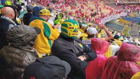 enmascarado auriverde.jpg enmascarado auriverde.jpg