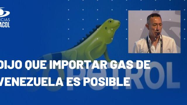 "Hay faltantes de gas en Colombia", reconoció presidente de Ecopetrol "Hay faltantes de gas en Colombia", reconoció presidente de Ecopetrol