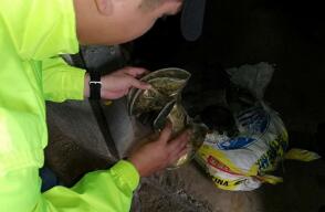 332351_Foto: BLU Radio