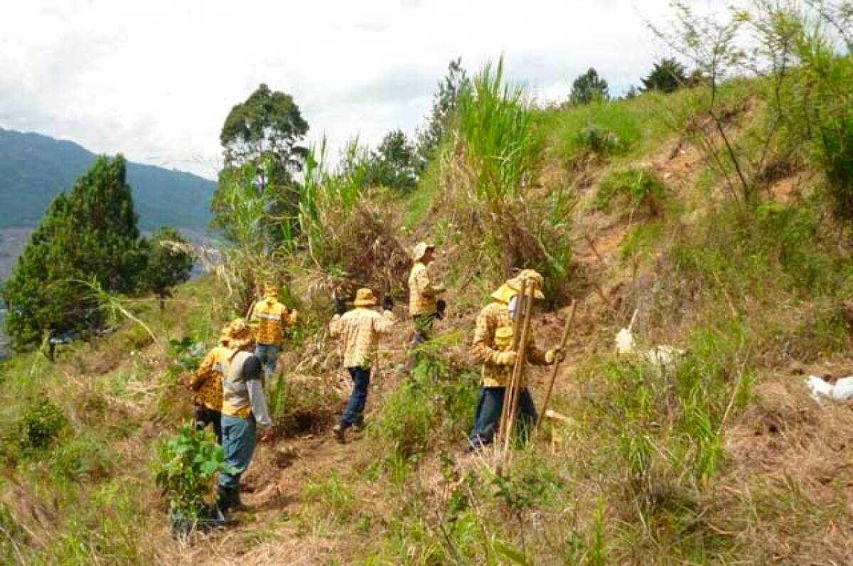 040315cerromedellin.jpg