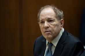 Harvey Weinstein Court Hearing - Los Angeles, CA Harvey Weinstein Court Hearing - Los Angeles, CA