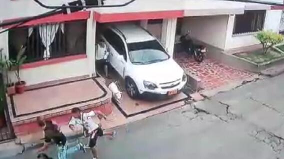 291682_Blu Radio / Perro evitó que delincuentes robaran vivienda en el norte de Cali. Foto: Tomada del video.