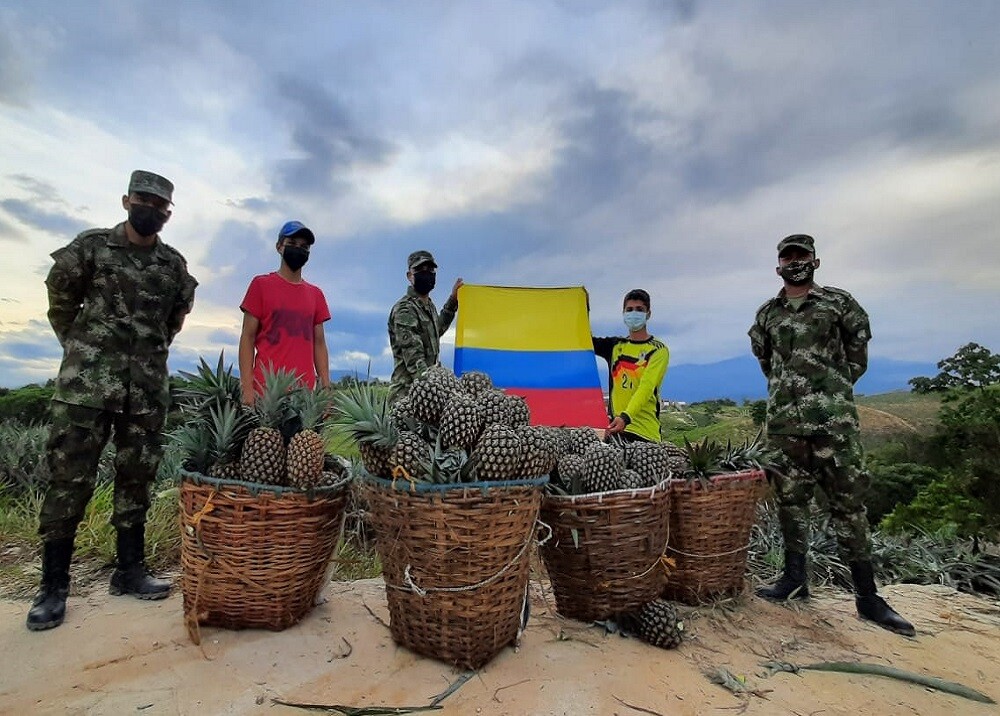 FOTO JOVEN AGRICULTOR PIÑA.jpg