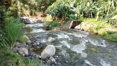 332170_Foto BLU Radio/ Quebrada San Agustín, Antioquia/ Cortesía