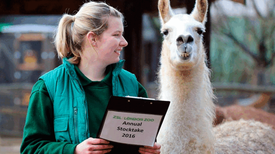 londonzoo4_0.gif
