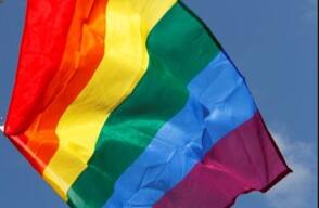 071113_bandera_gay_0.jpg