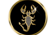 2959_franz