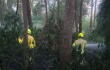 Incendio forestal en el sector de Seminario, Medellín