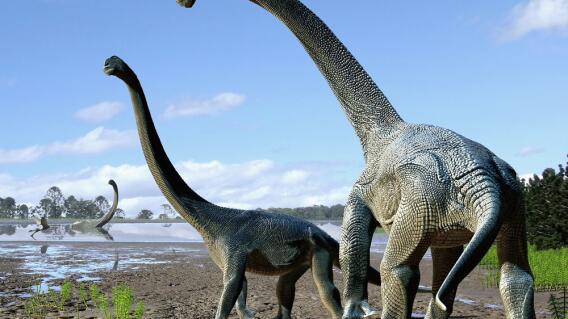 271892_AFP PHOTO / NATURE / AUSTRALIAN AGE OF DINOSAURS MUSEUM OF NATURAL HISTORY TRAVIS TISCHLER" 271892_AFP PHOTO / NATURE / AUSTRALIAN AGE OF DINOSAURS MUSEUM OF NATURAL HISTORY TRAVIS TISCHLER"