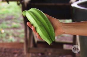 plátano.jpg