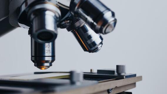 Bacteria sería la causa de brote de neumonía en Argentina Bacteria sería la causa de brote de neumonía en Argentina