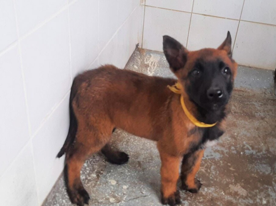 Wilson cuando tenia 6 meses
