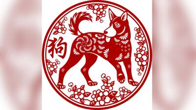 Horóscopo chino: semana del Perro de Metal