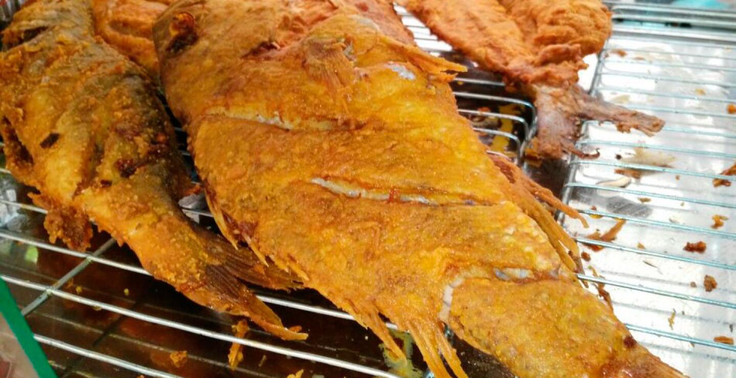 comida-petronio-11.jpg