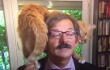 gato_viral.jpg